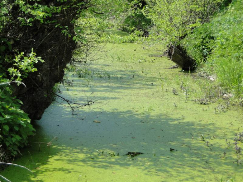 IV edycja projektu "Szczęśliwi, bo razem"