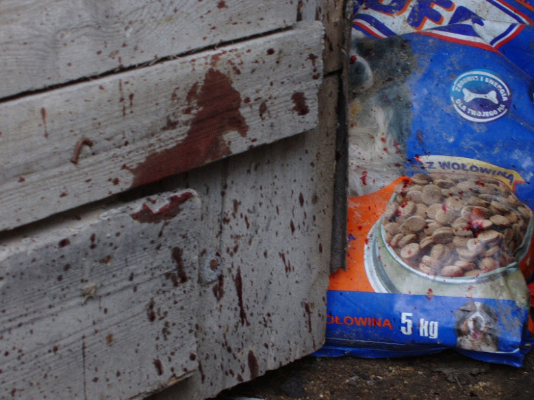 Morderca przeciągnął kobietę do pomieszczenia gospodarczego i tam dobił