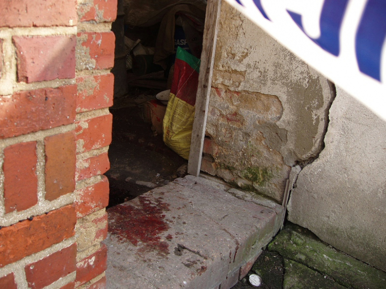 zdjęcia zrobione na drugi dzień po morderstwie 