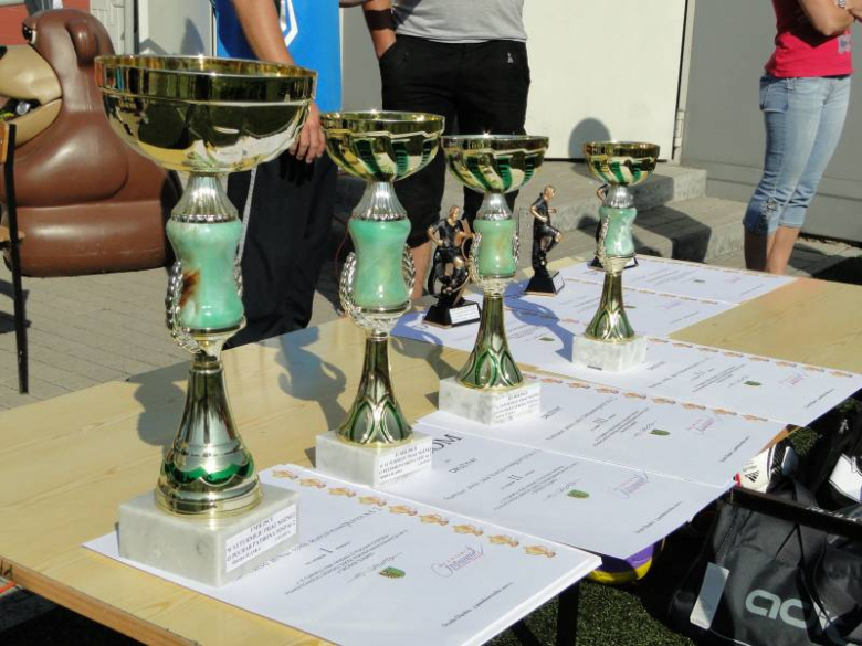 Turniej o Puchar Patrona PZSP nr 2