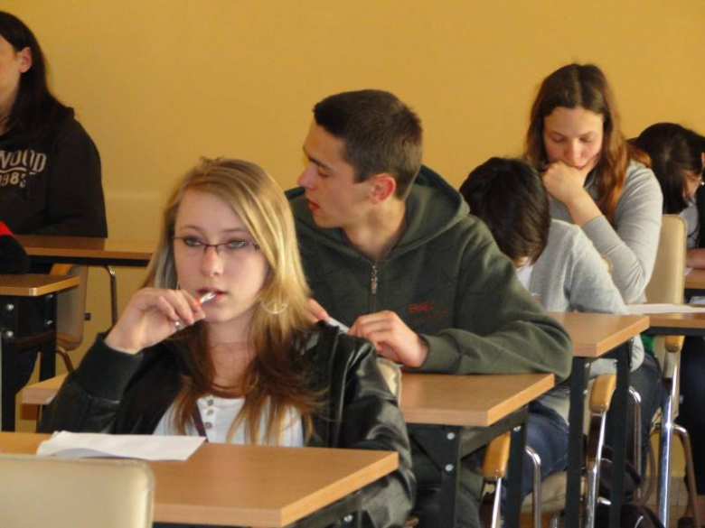 IV Powiatowy Dzień Unii Europejskiej - Środa Śląska 2011