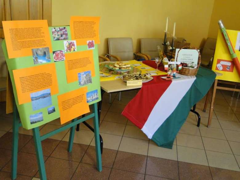 IV Powiatowy Dzień Unii Europejskiej - Środa Śląska 2011