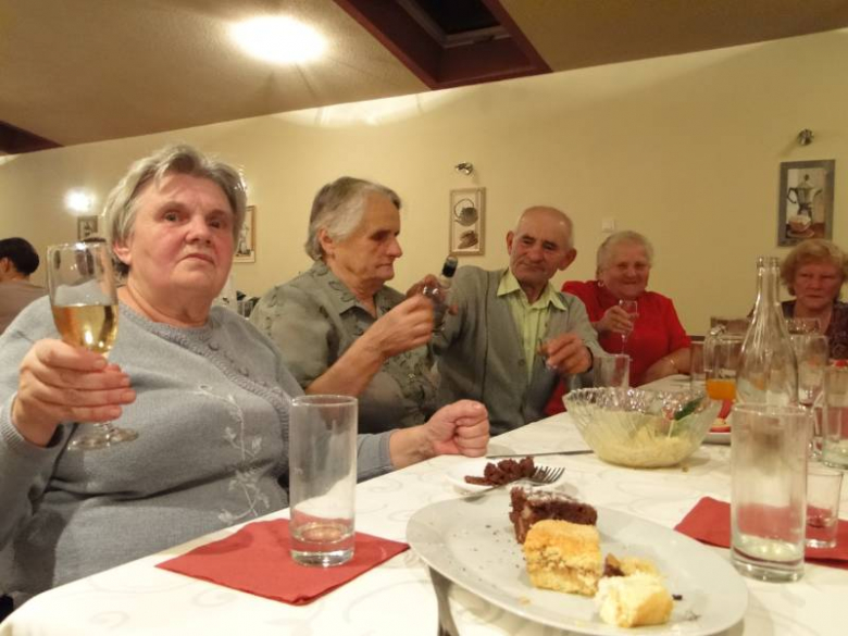 Dzień Seniora 2011 w Środzie Śląskiej