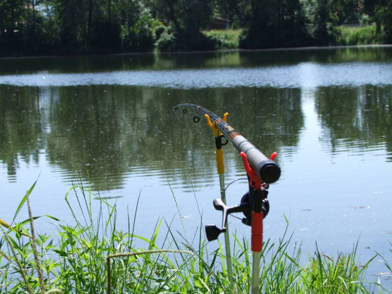 Spokojny brzeg stawu na Bartnikach