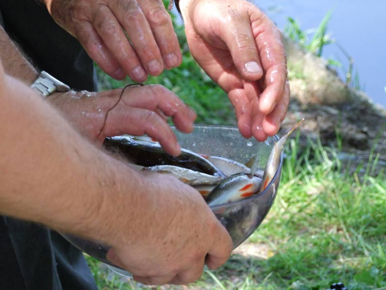 Komisyjne ważenie połowu