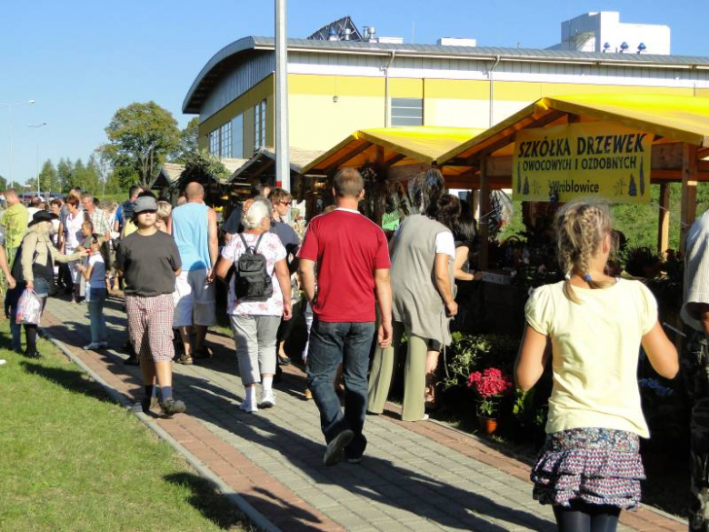 II Festiwal Lata w Miękini