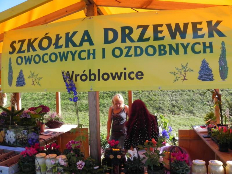 II Festiwal Lata w Miękini