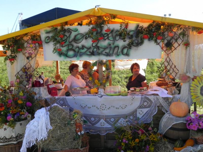 II Festiwal Lata w Miękini