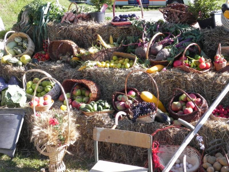 II Festiwal Lata w Miękini