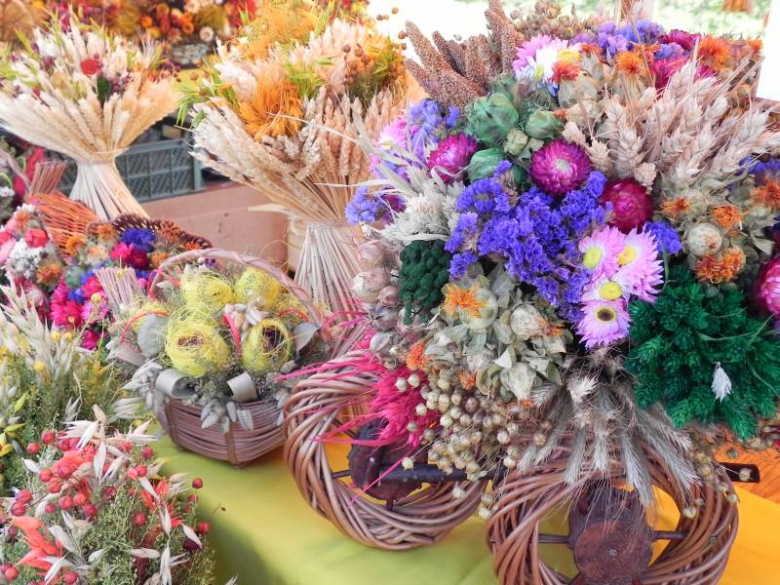 II Festiwal Lata w Miękini