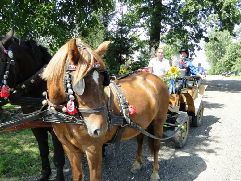 Dożynki gminne - Bukówek 2011
