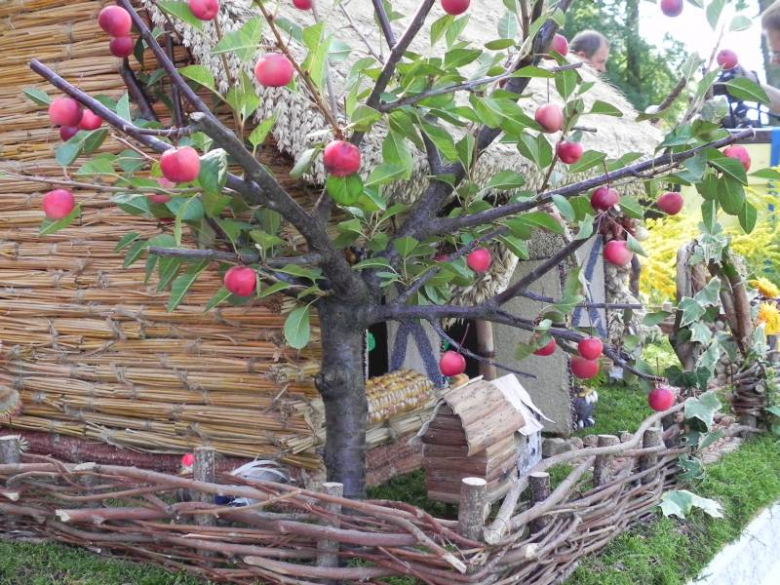 Dożynki gminne - Bukówek 2011