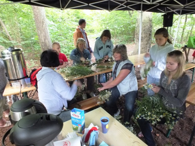 I Noc Świętojańska w Dębowej Krainie