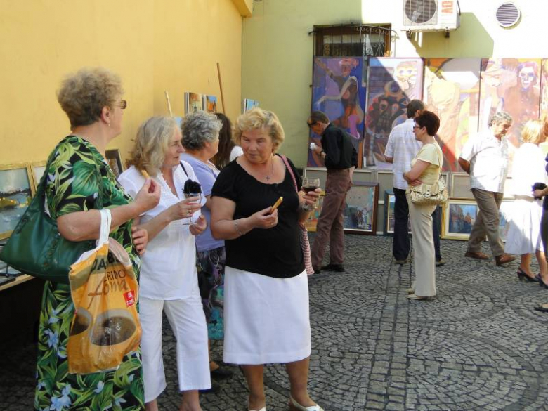 Barwy historii i teraźniejszości - Środa Śląska 2011