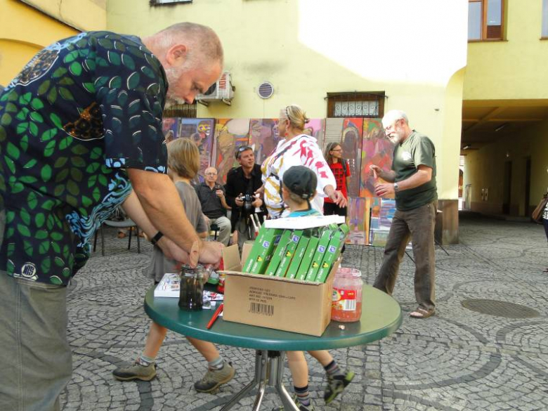Barwy historii i teraźniejszości - Środa Śląska 2011