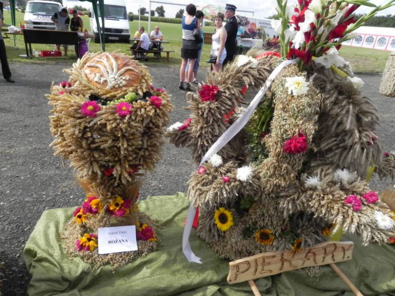 Dożynki Gminne w Udaninie 2011
