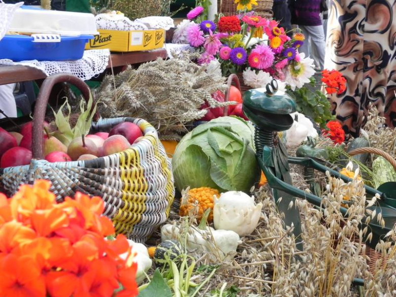 Dożynki Gminne w Udaninie 2011