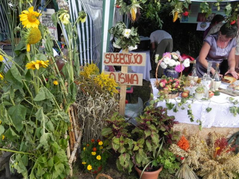 Dożynki Gminne w Udaninie 2011