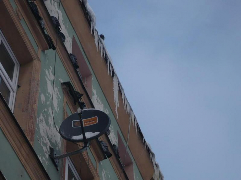 POniedziałek w mieście