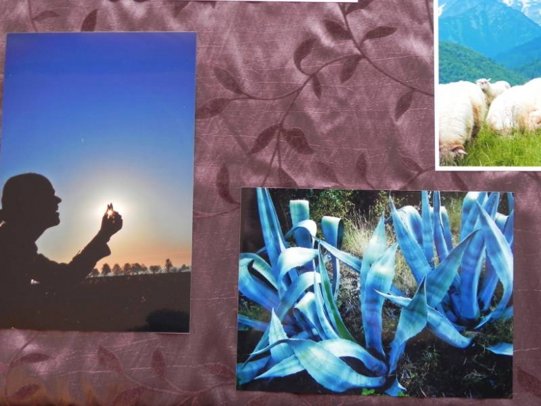 „X konkurs fotograficzny" - Środa Śląska 2010