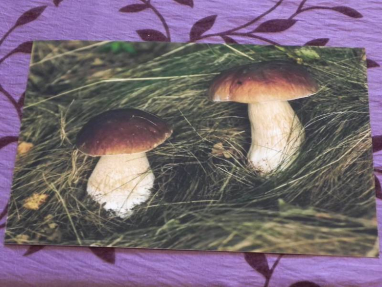 „X konkurs fotograficzny" - Środa Śląska 2010