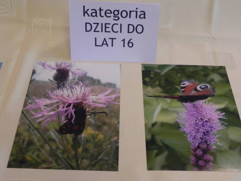 „X konkurs fotograficzny" - Środa Śląska 2010