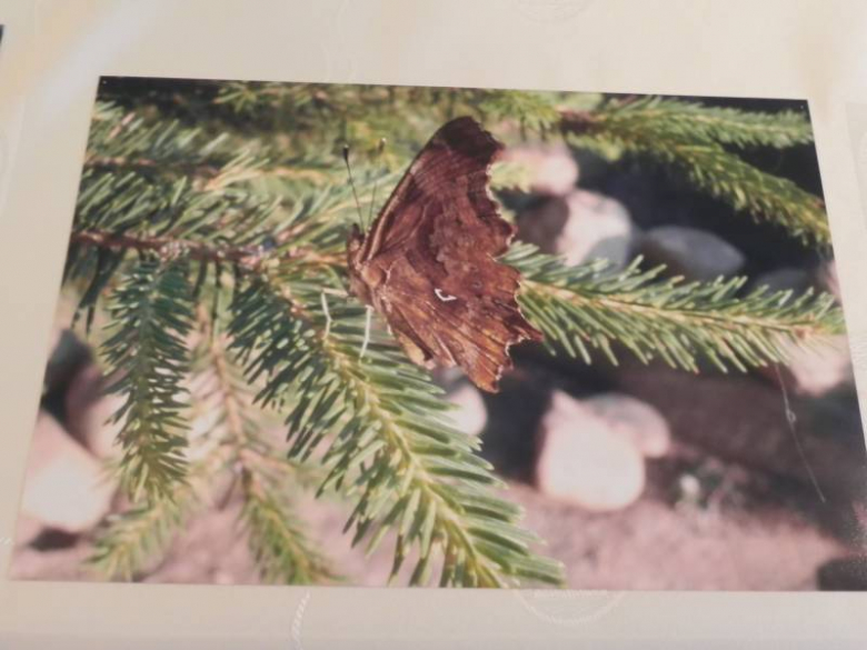 „X konkurs fotograficzny" - Środa Śląska 2010