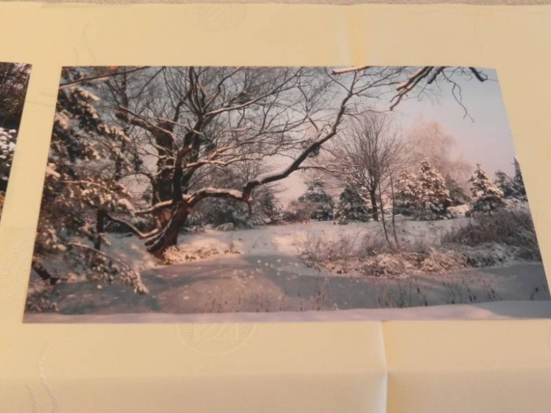 „X konkurs fotograficzny" - Środa Śląska 2010