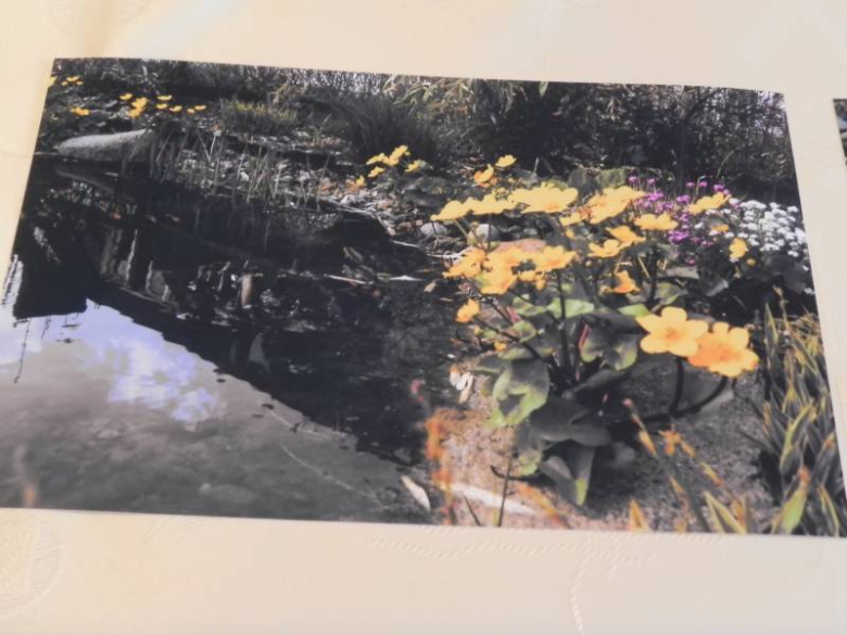 „X konkurs fotograficzny" - Środa Śląska 2010