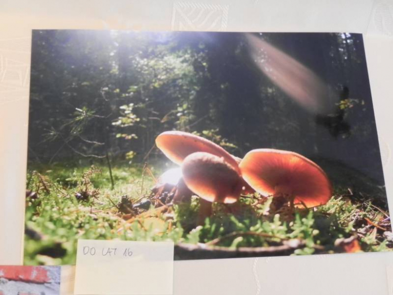 „X konkurs fotograficzny" - Środa Śląska 2010