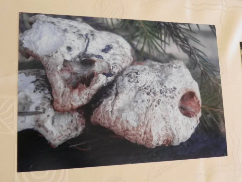 „X konkurs fotograficzny" - Środa Śląska 2010