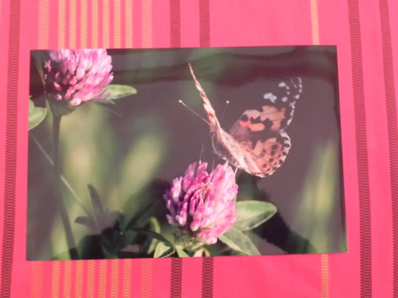 „X konkurs fotograficzny" - Środa Śląska 2010