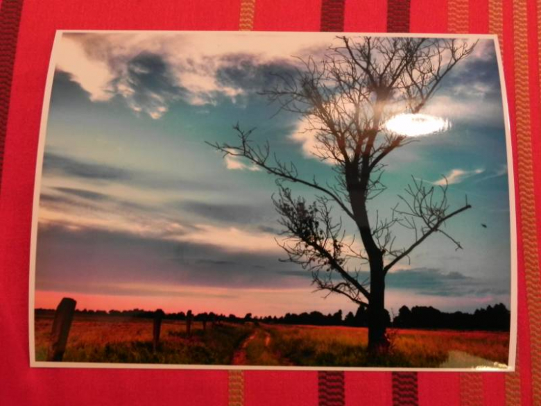 „X konkurs fotograficzny" - Środa Śląska 2010