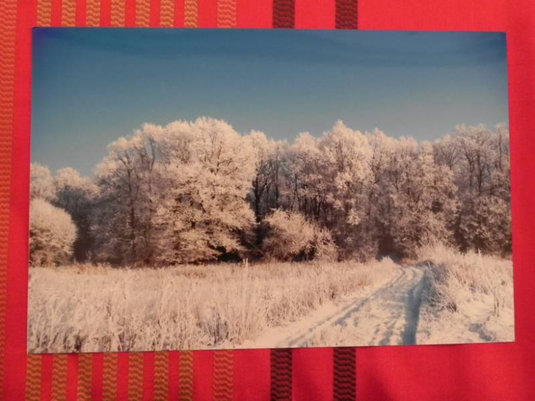 „X konkurs fotograficzny" - Środa Śląska 2010