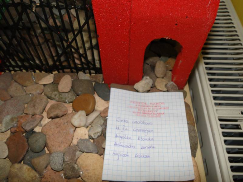 I etap konkursu "Znam Środę Śląską - wiem o tym mieście wszystko"