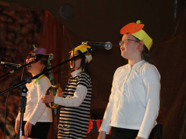 II Powiatowy Festiwal Piosenki o Zdrowiu