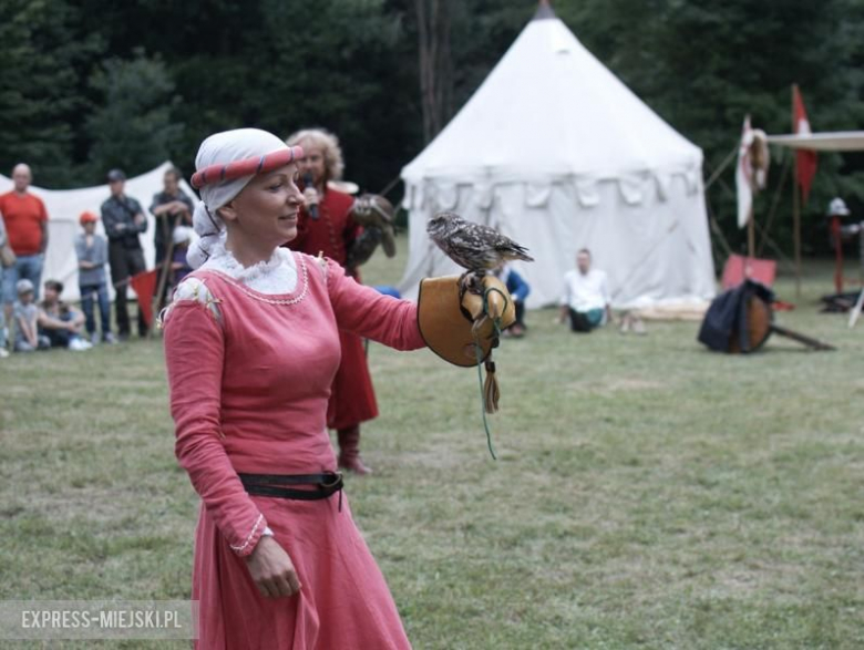 Turniej rycerski w Wojnowicach