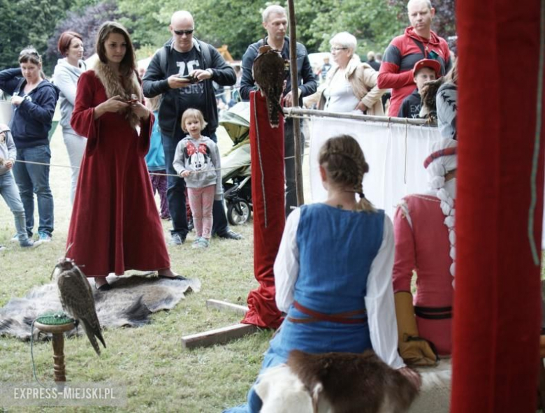 Turniej rycerski w Wojnowicach