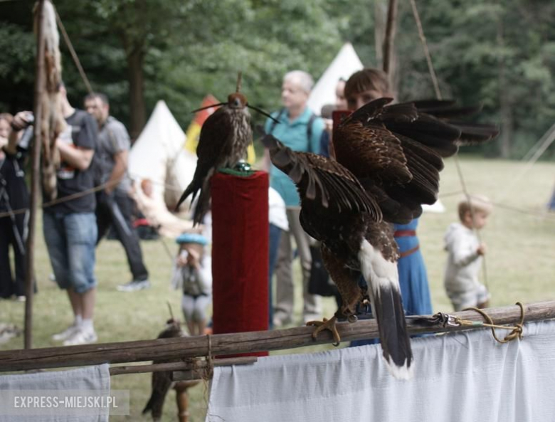 Turniej rycerski w Wojnowicach