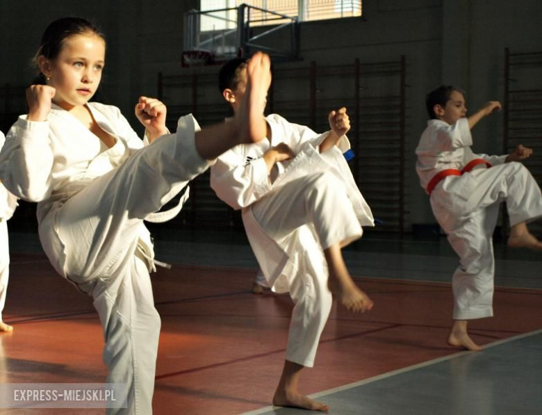 Karate Budokan sekcja Środa Śląska
