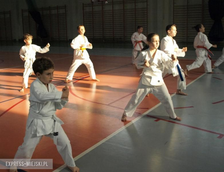 Karate Budokan sekcja Środa Śląska