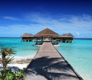 Co warto zobaczyć na Malediwach? Lista popularnych atrakcji