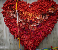 34. Finał WOŚP w Środzie Śląskiej. Trzy dni wydarzeń, sportu i muzyki