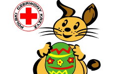 Wolontariusze na ulicach Środy Śląskiej