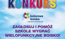 Kamieniecka szkoła walczy o kolorowe boisko