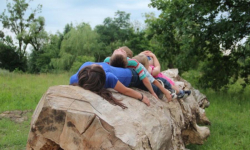 Oddaj głos na zdjęcie 