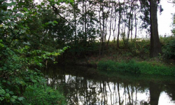 Opada poziom wody w rzekach