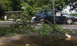 Kolizje podczas deszczu