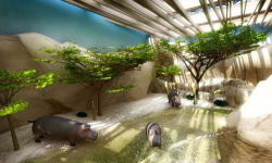 Kamień węgielny pod afrykarium ze zwierzęcego DNA