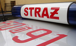 Powalone drzewa po wichurze